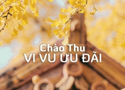 ƯU ĐÃI LỚN, SẴN SÀNG CHÀO THU CÙNG ..