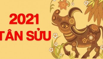 Đề xuất nghỉ 2 ngày trước Tết Nguyên đán Tân Sửu 2021